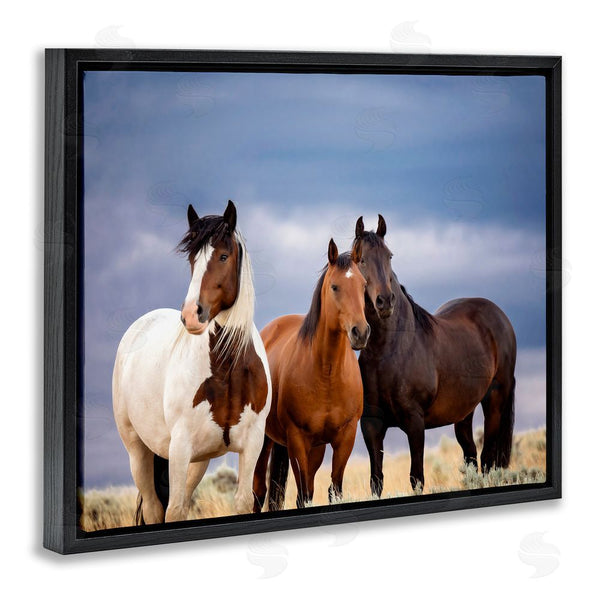 Stupell Industries PH Burchett | Horse Trio Under Clouds Wall Art