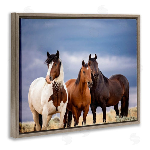Stupell Industries PH Burchett | Horse Trio Under Clouds Wall Art
