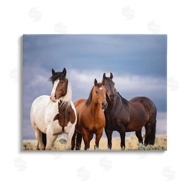 stupell industries PH Burchett | Horse Trio Under Clouds Wall Art