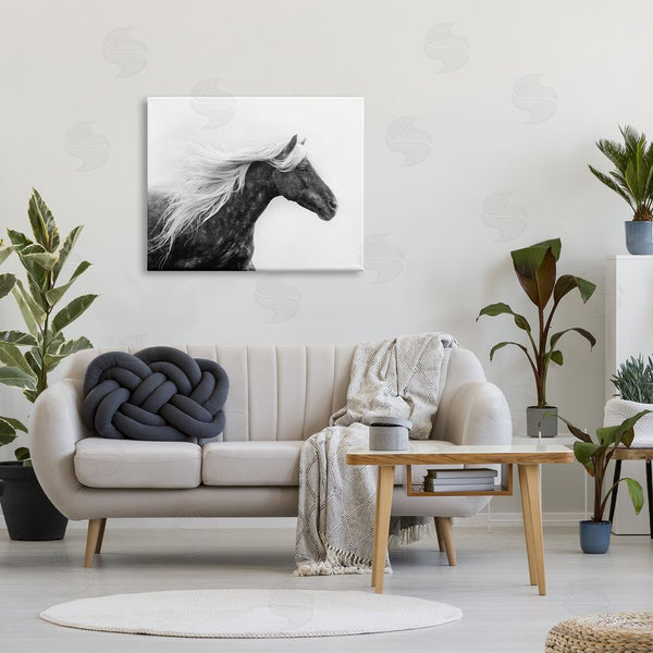 Stupell Industries PH Burchett | Horse With White Mane Wall Art