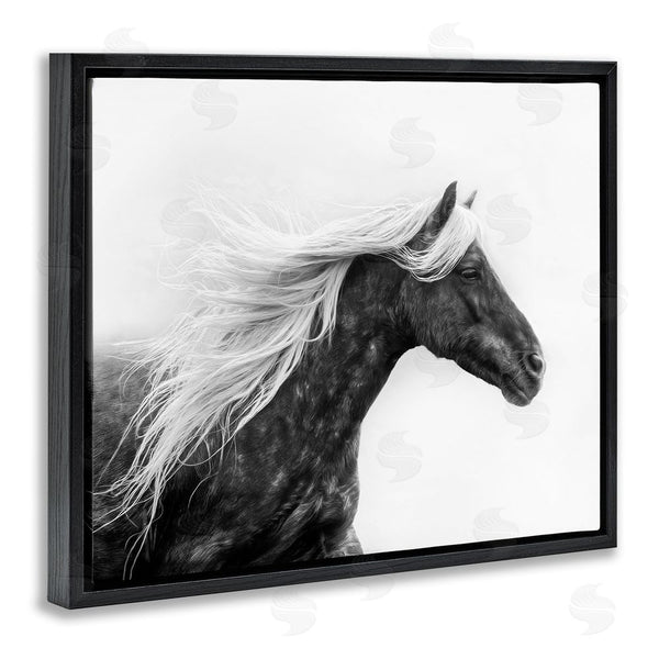 Stupell Industries PH Burchett | Horse With White Mane Wall Art