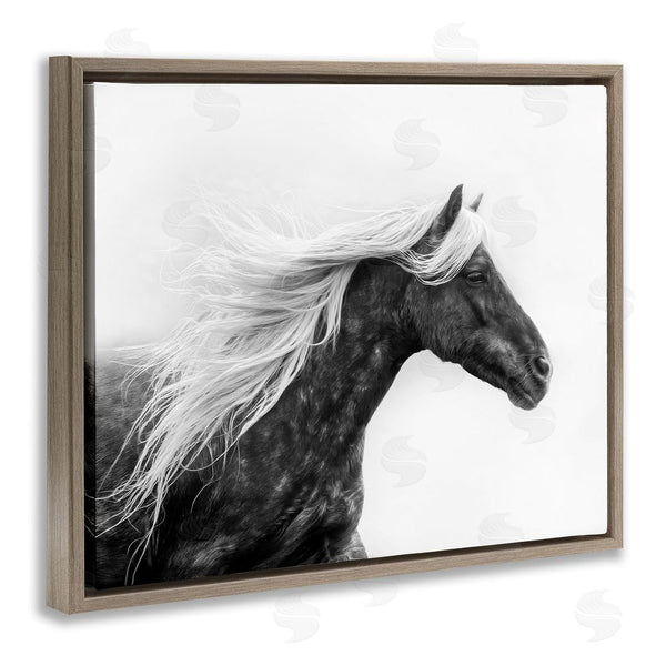 Stupell Industries PH Burchett | Horse With White Mane Wall Art