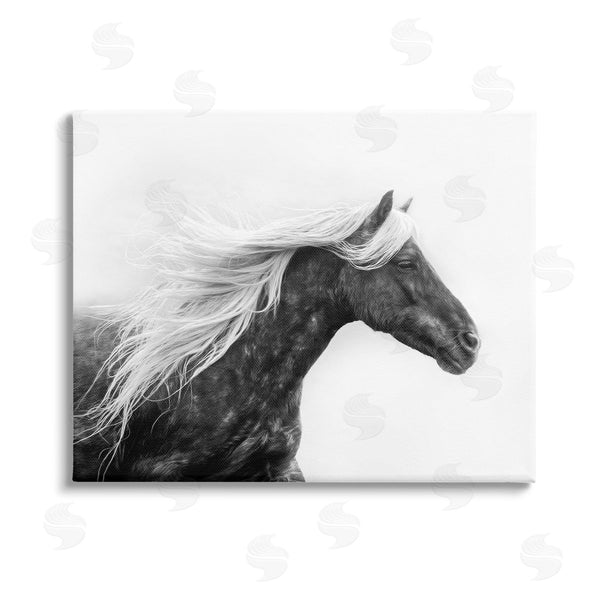 stupell industries PH Burchett | Horse with White Mane Wall Art