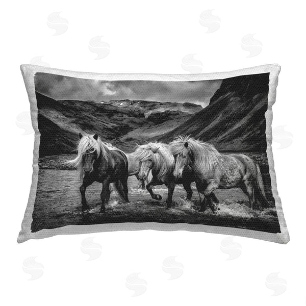 Stupell Industries PH Burchett | Horses Splashing In River