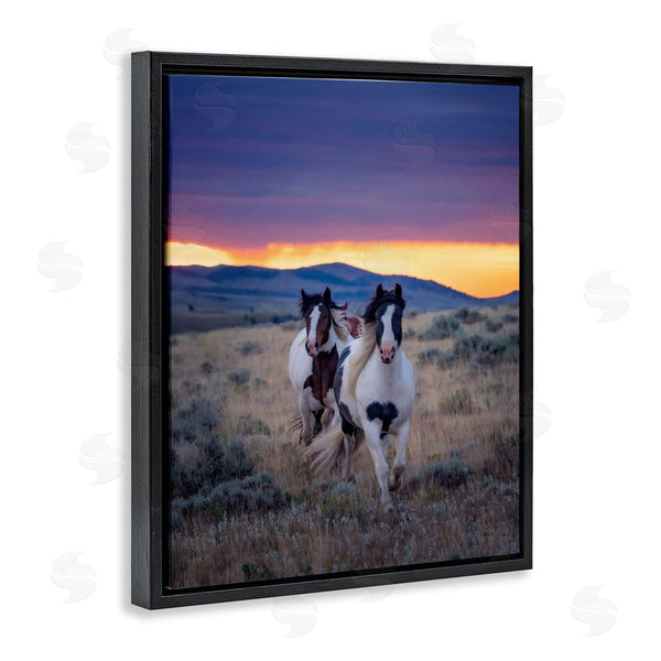 Stupell Industries PH Burchett | Spotted Horses At Sunrise Wall Art