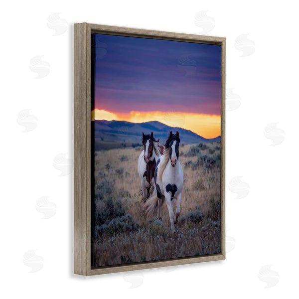 Stupell Industries PH Burchett | Spotted Horses At Sunrise Wall Art