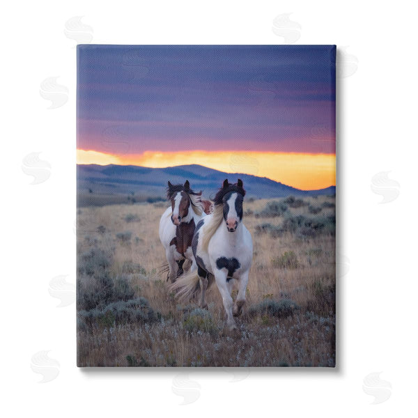 stupell industries PH Burchett | Spotted Horses at Sunrise Wall Art