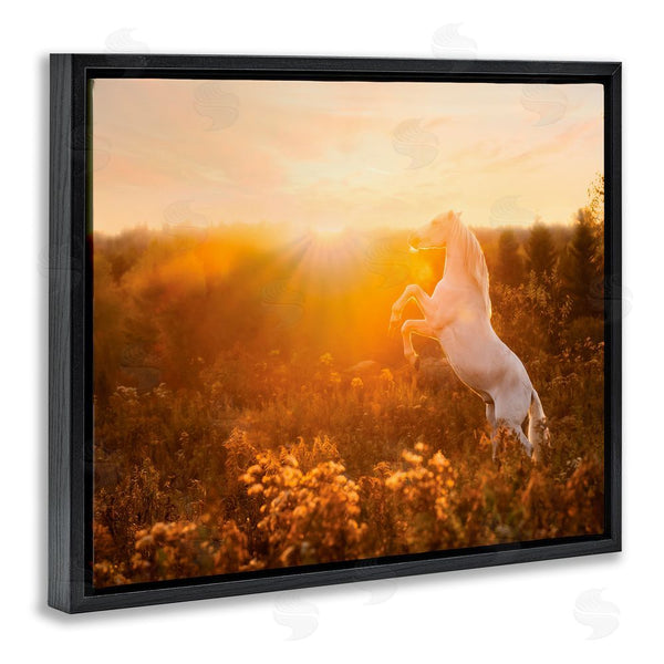 Stupell Industries PH Burchett | Standing Horse In Rising Sun Wall Art