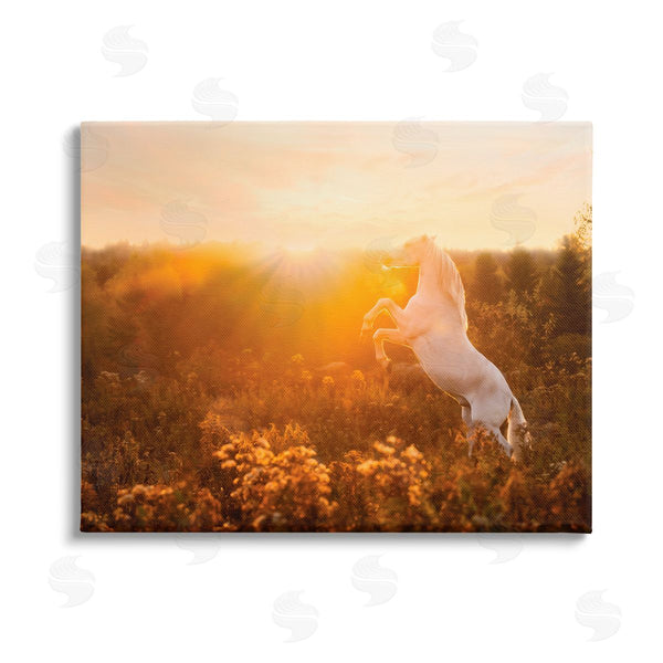 stupell industries PH Burchett | Standing Horse in Rising Sun Wall Art