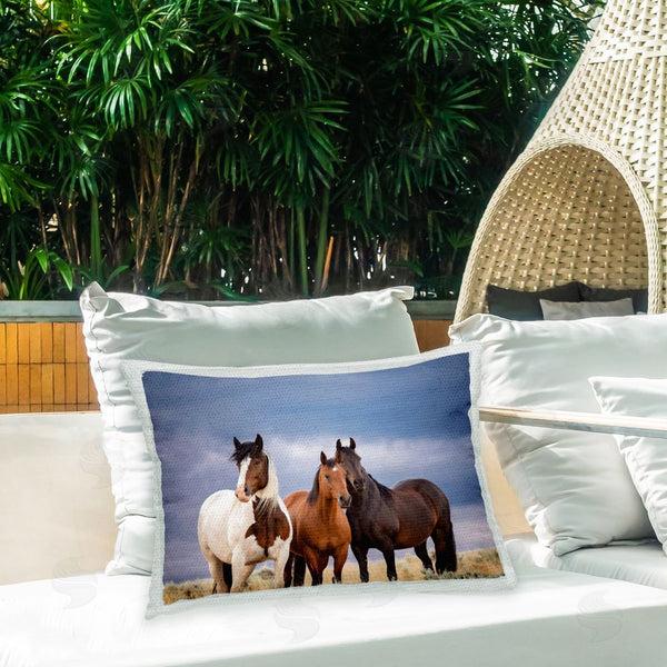 Stupell Industries PH Burchett | Three Horses In Nature
