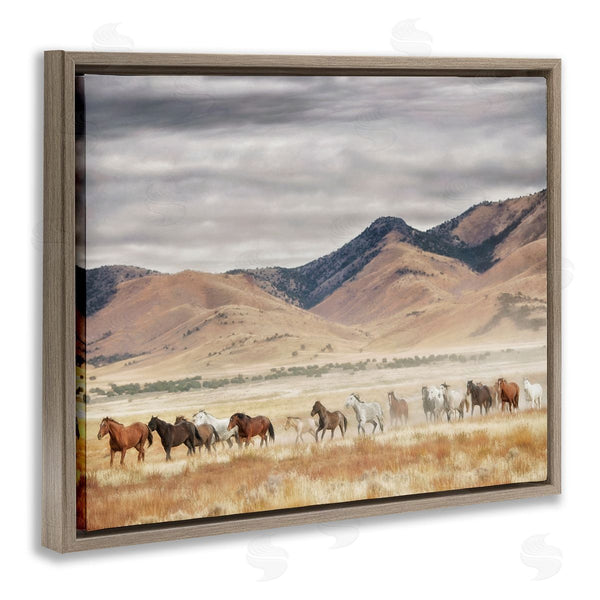 Stupell Industries PH Burchett | Wild Horses Roaming Across Western Landscape
