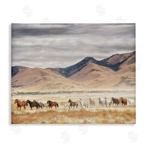 stupell industries PH Burchett | Wild Horses Roaming Across Western Landscape