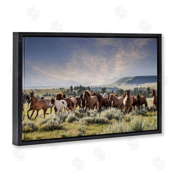 Stupell Industries PHBurchett | Bustling Horse Herd In Nature
