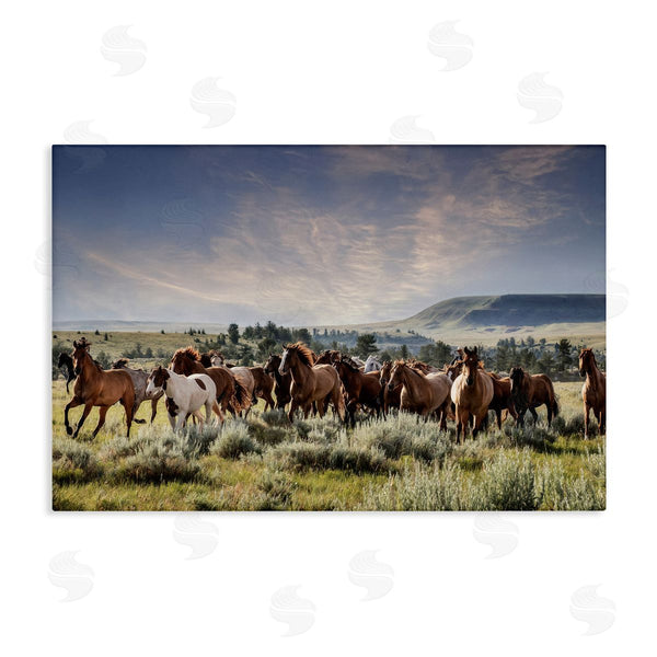 stupell industries PHBurchett | Bustling Horse Herd in Nature