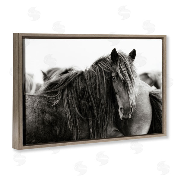 Stupell Industries PHBurchett | Gazing Horse Among Herd