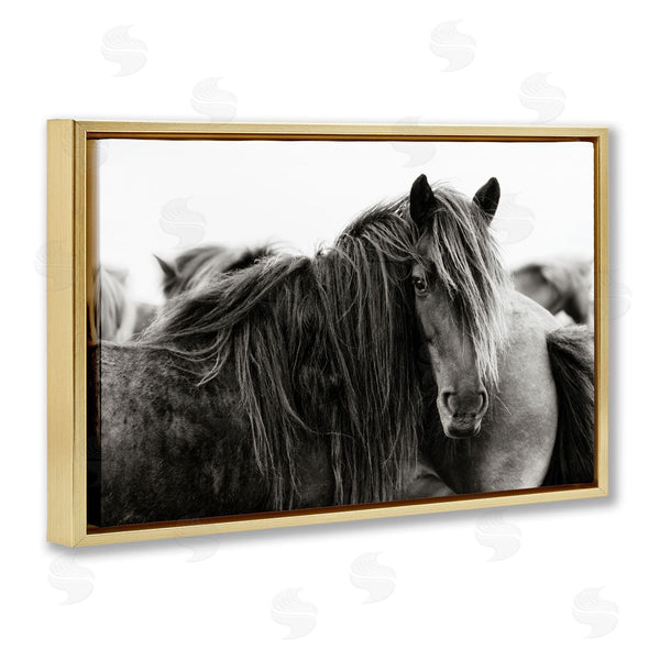 Stupell Industries PHBurchett | Gazing Horse Among Herd