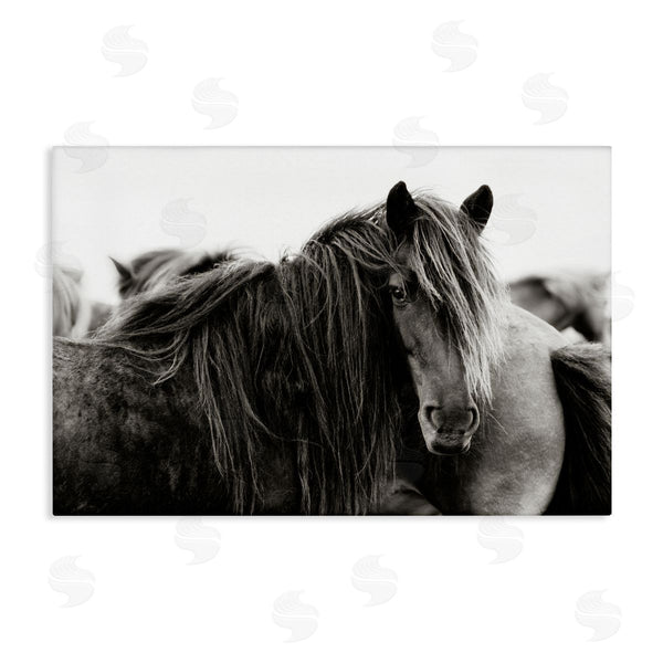 stupell industries PHBurchett | Gazing Horse Among Herd