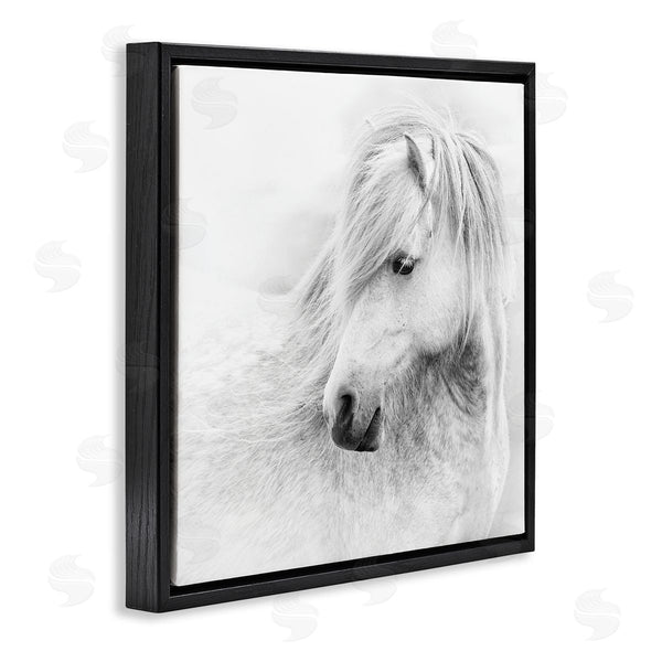 Stupell Industries PHBurchett | Gazing White Toned Horse