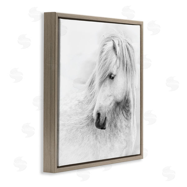 Stupell Industries PHBurchett | Gazing White Toned Horse