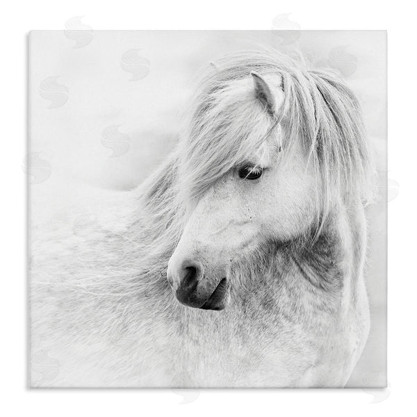 stupell industries PHBurchett | Gazing White Toned Horse