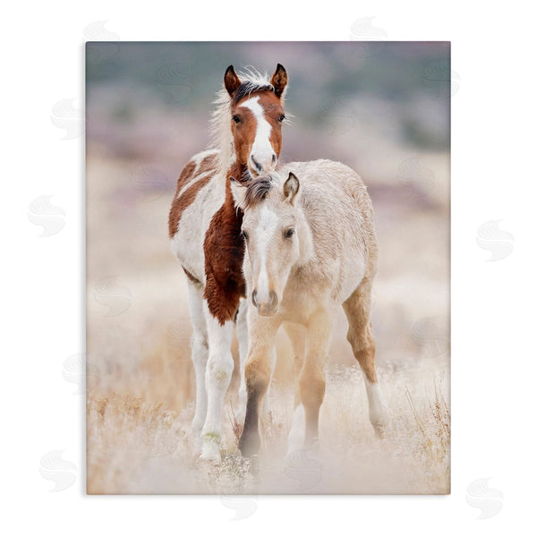 stupell industries PHBurchett | Horse Collection in Meadow