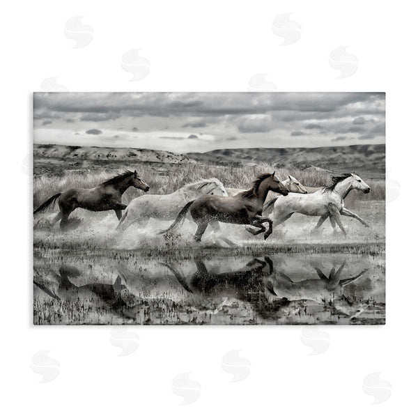 stupell industries PHBurchett | Horses Splashing in Riverbank