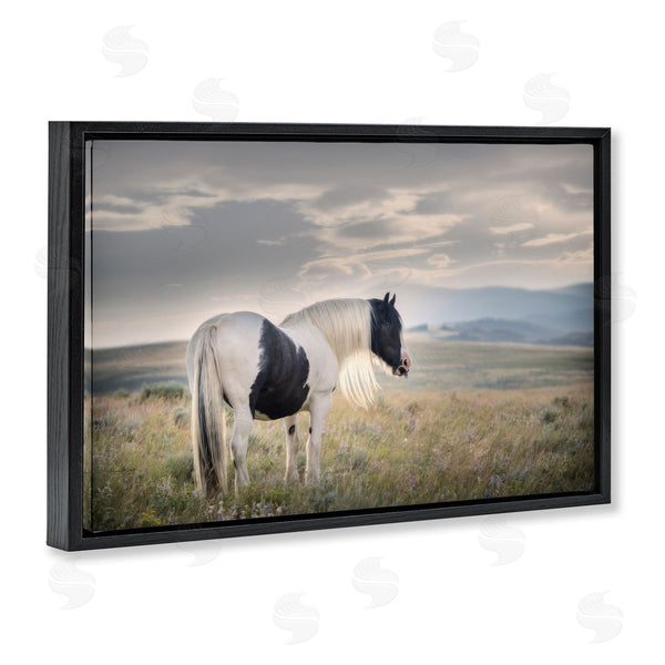 Stupell Industries PHBurchett | Spotted Horse On Sunny Terrain