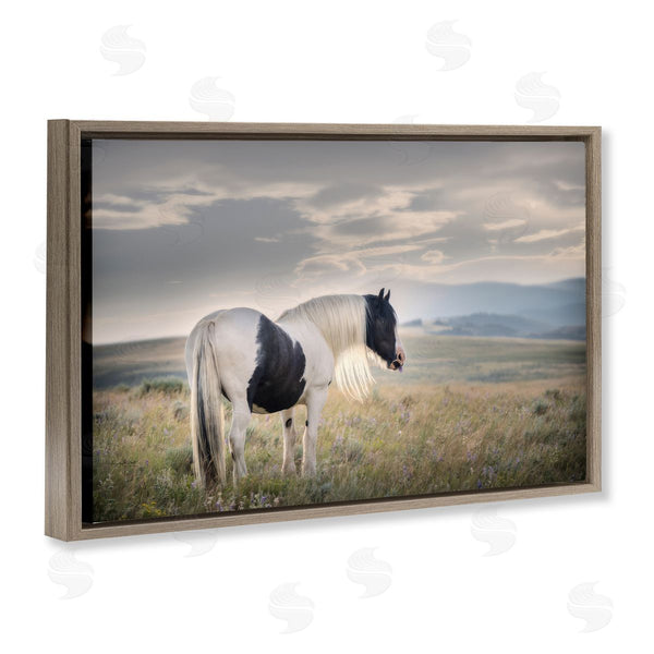 Stupell Industries PHBurchett | Spotted Horse On Sunny Terrain