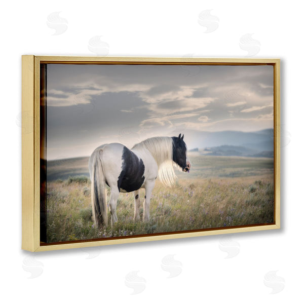 Stupell Industries PHBurchett | Spotted Horse On Sunny Terrain