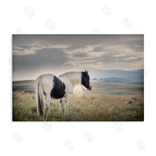 stupell industries PHBurchett | Spotted Horse on Sunny Terrain