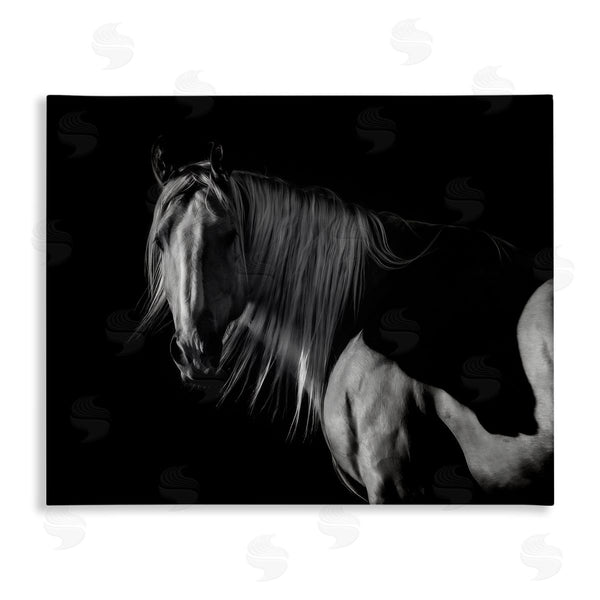 stupell industries PHBurchett | Stoic Horse in Dark Lighting