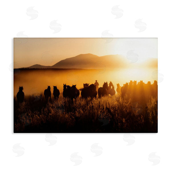 stupell industries PHBurchett | Sun Bleached Cowboy & Horses