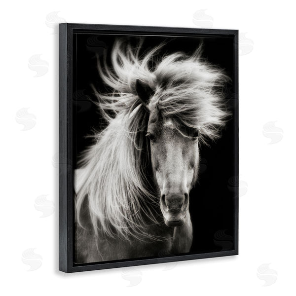 Stupell Industries PHBurchett | Windblown Mane Horse On Black Wall Art