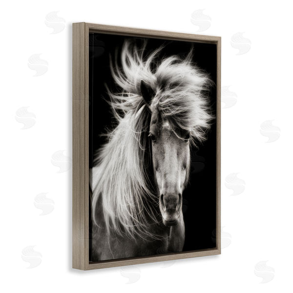 Stupell Industries PHBurchett | Windblown Mane Horse On Black Wall Art