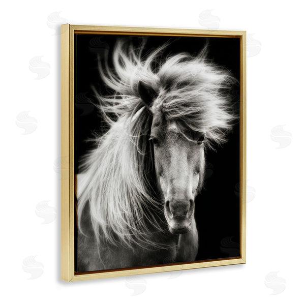 Stupell Industries PHBurchett | Windblown Mane Horse On Black Wall Art