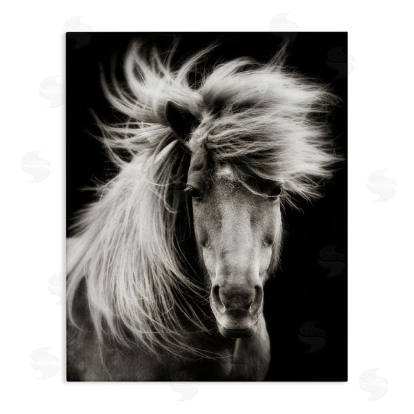 stupell industries PHBurchett | Windblown Mane Horse on Black Wall Art