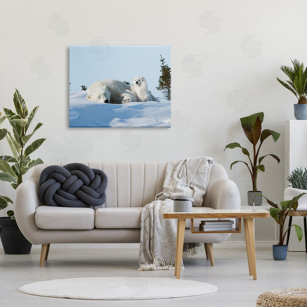 Stupell Industries Philip Marazzi | Polar Bear Cub With Mom Wall Art