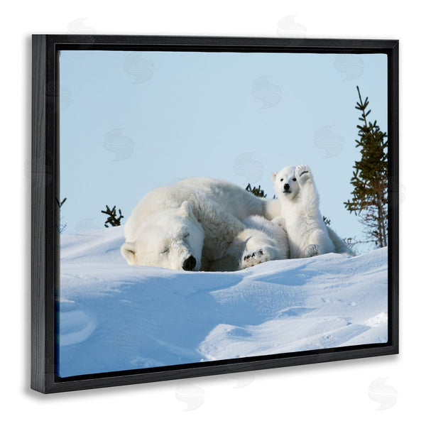 Stupell Industries Philip Marazzi | Polar Bear Cub With Mom Wall Art