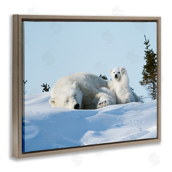 Stupell Industries Philip Marazzi | Polar Bear Cub With Mom Wall Art
