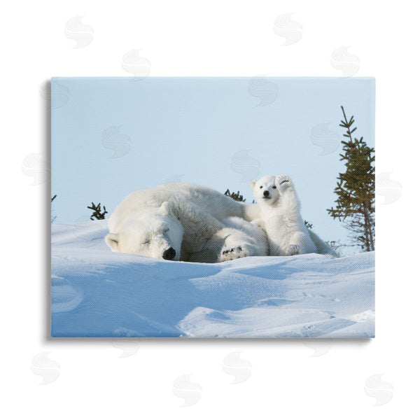 stupell industries Philip Marazzi | Polar Bear Cub with Mom Wall Art