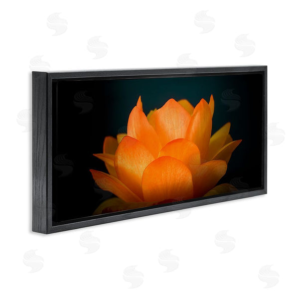 Stupell Industries Phillip Flowers | Glowing Orange Lotus Wall Art
