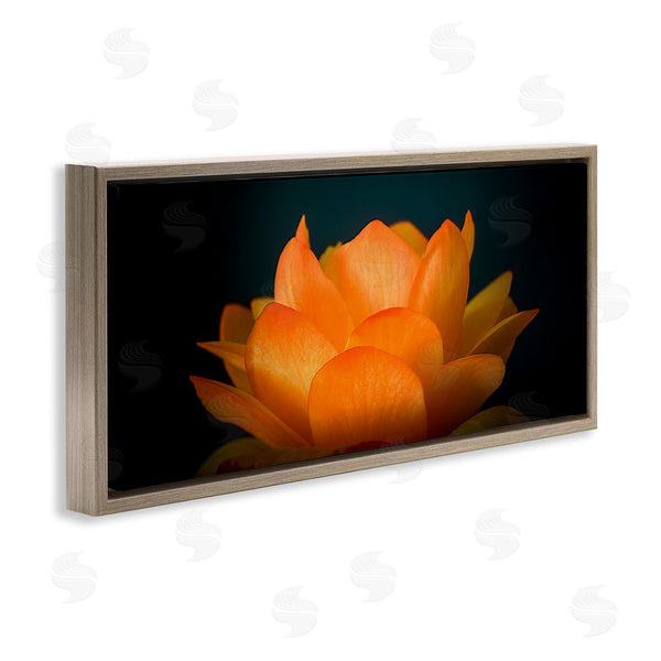 Stupell Industries Phillip Flowers | Glowing Orange Lotus Wall Art