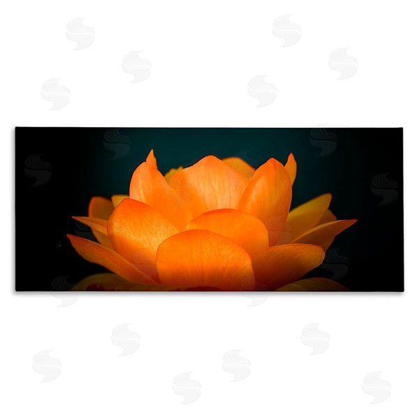 stupell industries Phillip Flowers | Glowing Orange Lotus Wall Art