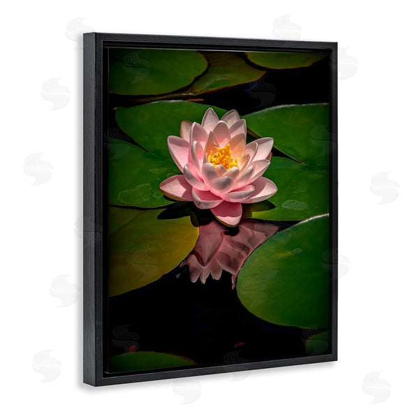 Stupell Industries Phillip Flowers | Pink Lotus Among Lily Pads Wall Art