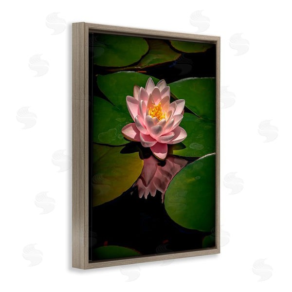 Stupell Industries Phillip Flowers | Pink Lotus Among Lily Pads Wall Art