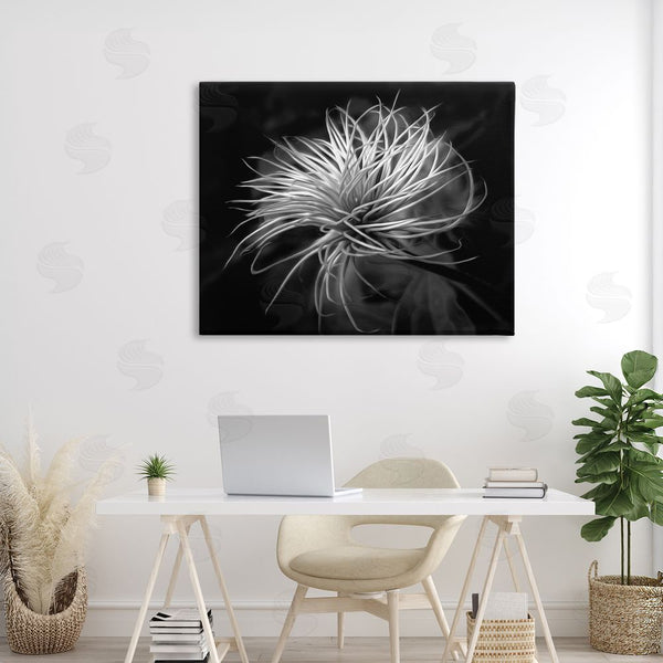 Stupell Industries Phillip Flowers | Twisting Botanical Leaves Contrast Wall Art