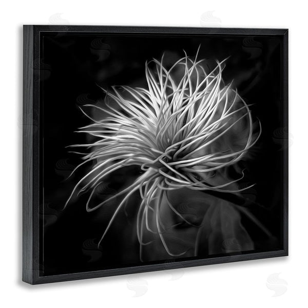 Stupell Industries Phillip Flowers | Twisting Botanical Leaves Contrast Wall Art