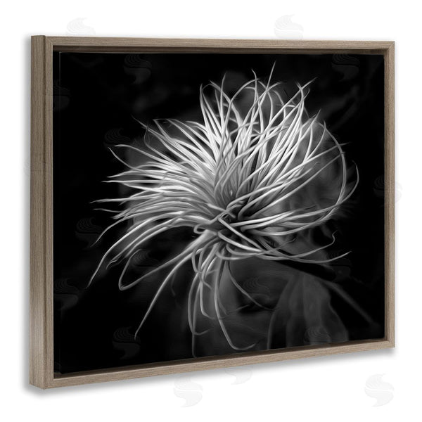 Stupell Industries Phillip Flowers | Twisting Botanical Leaves Contrast Wall Art