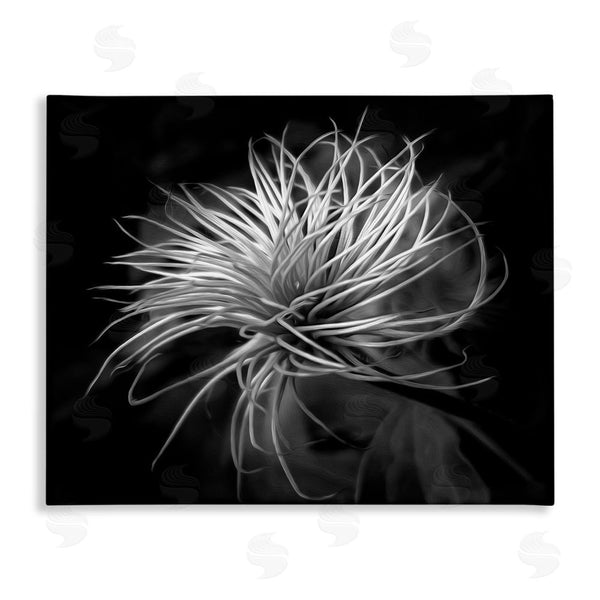 stupell industries Phillip Flowers | Twisting Botanical Leaves Contrast Wall Art