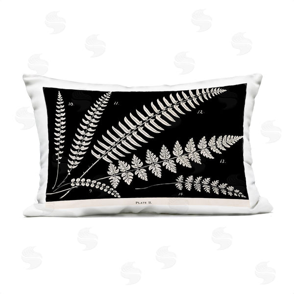 Stupell Industries Phillipa Katz | Fern Studies On Black Printed Throw Pillow
